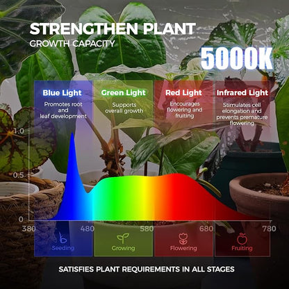 Barrina LP1200 Indoor Greenhouse with Grow Light, 5-Tier, 200W TX-S50 3.2FT 5000K, Full Spectrum Plant Shelf with Tent Timer & Thermometer for Seed Starting, 47.2 x 13.8 x 70.9IN