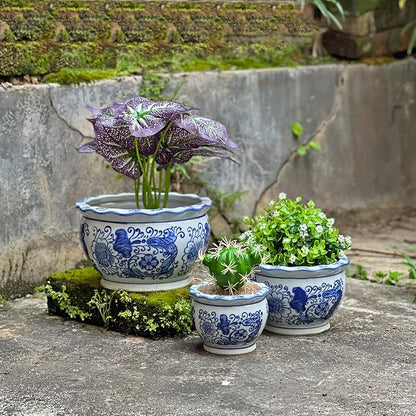 HakkaGirl Blue and White Planters, Succulent Pots Ceramic Plant Pots Indoor with Drainage for Home Décor - Set of 3