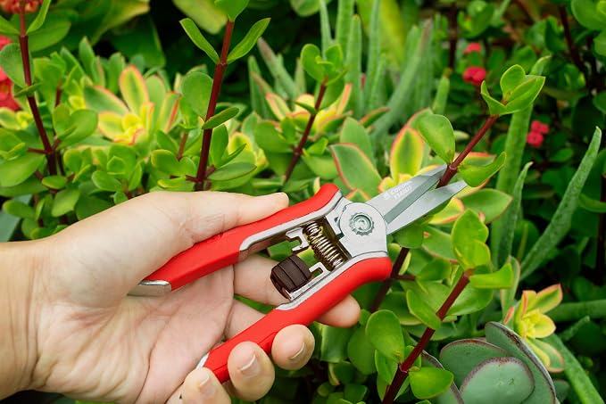 Corona Tools FS43623 Yard Essentials Mini Floral Snips, Red
