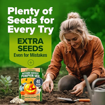 HOME GROWN Pumpkin Seeds 5 Variety Mix 40+ Heirloom Non-GMO, High Germination, Connecticut Field, Blue, White & Mini Pumpkins,Edible & Jack O Lanterns,Autumn Harvest,Ornamental Garden (Cucurbita pepo)