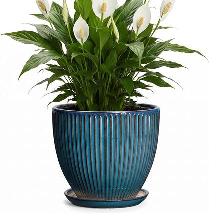 Ceramic Plant Pots, 8 Inch Planters for Indoor Plants, Decorative Flower Pots with Drainage Hole and Saucer, Round Planter, Indoor Flower Pot, Modern Home Decor, Plant Lover Gifts, Retro Blue