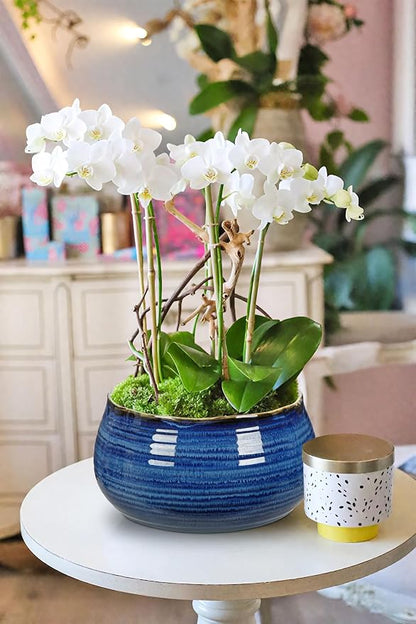 Hollyone Blue Ceramic Planters 6.4 Inch Modern Glaze Pots for Succulent Plants Round Flower Plant Garden Pots Modern Planters Flowers Pots for Indoor Outdoor Snake Plants