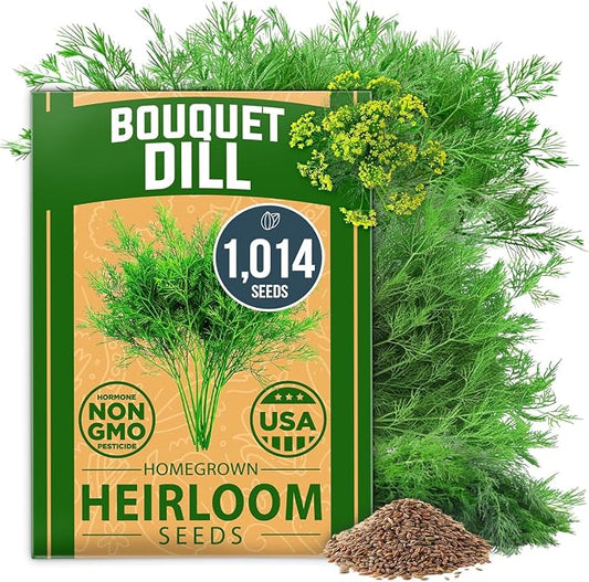 HOME GROWN Non GMO Dill Seeds for Planting 1,014 Bouquet Dill Seeds and Heirloom Herb Seeds for Planting Outdoors, Grow Your Fragrant Dill Herb Garden (Anethum graveolens)