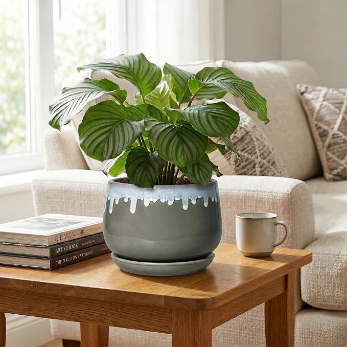Ceramic Flower Pots - 9 Inch Planters for Indoor Plants, Indoor Planter with Drainage and Saucer, Round Decorative Plant Pots for Plants, Porch Home Decor, Grey-Blue