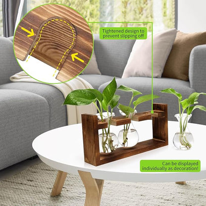 Plant Propagation Station Plant Terrarium Unique Birthday Gifts for Women | Plant Lovers Home Office Decor Planter with Wooden Stand - 3 Bulb Glass Vase