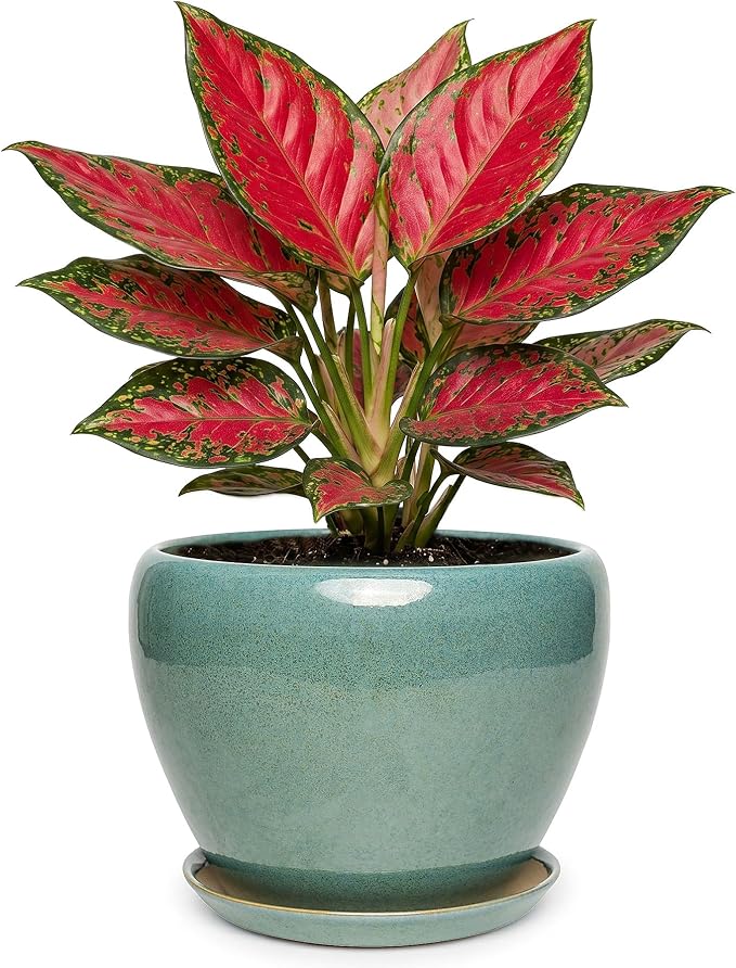 7.5 Inch Ceramic Plant Pot with Drainage Hole Mesh Net,Modern Gardening Pots for Indoor Plants with Saucer, Blue-Green