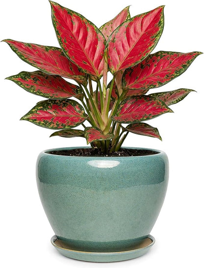 7.5 Inch Ceramic Plant Pot with Drainage Hole Mesh Net,Modern Gardening Pots for Indoor Plants with Saucer, Blue-Green