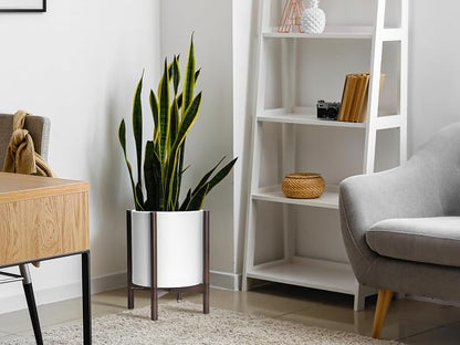 D'vine Dev Plastic Pot with Walnut Wood Stand, White, 12 in, 55-C-O-1 | Mid-Century Inspired Design, Elevated Plant Display, Clean Lines, Sturdy Support, Modern Space-Saving Style