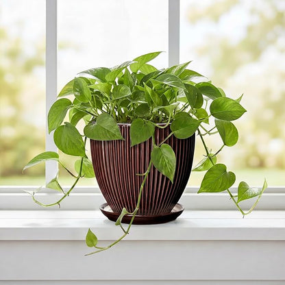 6 Inch Planter, Ceramic Plant Pots Indoor with Drainage Hole and Saucer, Round Flower Orchid Pots for Indoor Plants, Succulent Pot, Small Modern Planter, Bathroom Decor, Brown