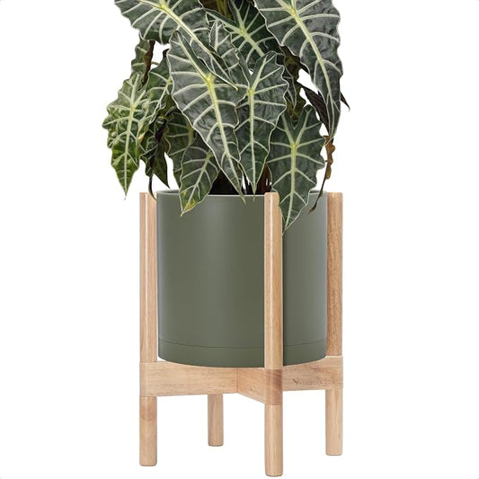 D'vine Dev Plastic Pot with Natural Wood Stand, Olive, 10 in, 55-C-M-3 | Mid-Century Inspired Design, Elevated Plant Display, Clean Lines, Sturdy Support, Modern Space-Saving Style