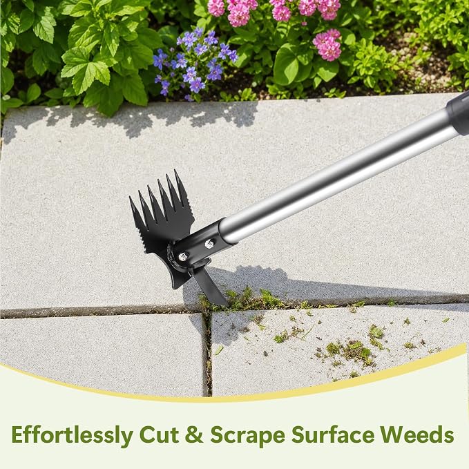 2 in 1 Crack Weeder and Weed Puller Tool with Long Handle - 57" Hand Weed Rake & Crevice Weeding Tool, Manual Weeding Remover Uprooting Garden Tools for Lawn, Yard, Patio and Paver, Sidewalk Cracks