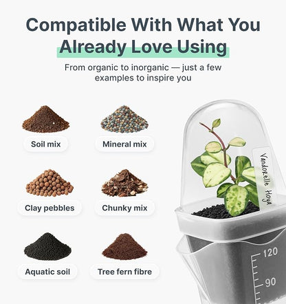 12 Pack 2" Small Clear Self Watering Pots with Humidity Dome for Indoor Plants, Seed Starter Cups, Tissue Culture Acclimation Kit,Alocasia Corm Propagation,African Violet,Cuttings,Seedlings