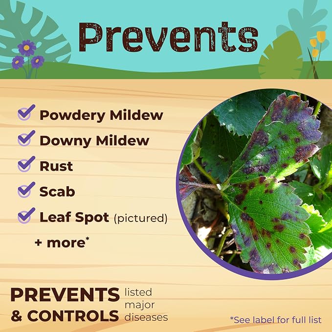 Bonide Captain Jack's Neem Oil, 128 oz Ready-to-Use, Multi-Purpose Fungicide, Insecticide and Miticide for Organic Gardening | Multi-Purpose Fungicide, Insecticide and Miticide for Organic Gardening