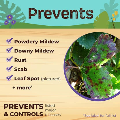Bonide Captain Jack's Neem Oil, 128 oz Ready-to-Use, Multi-Purpose Fungicide, Insecticide and Miticide for Organic Gardening | Multi-Purpose Fungicide, Insecticide and Miticide for Organic Gardening