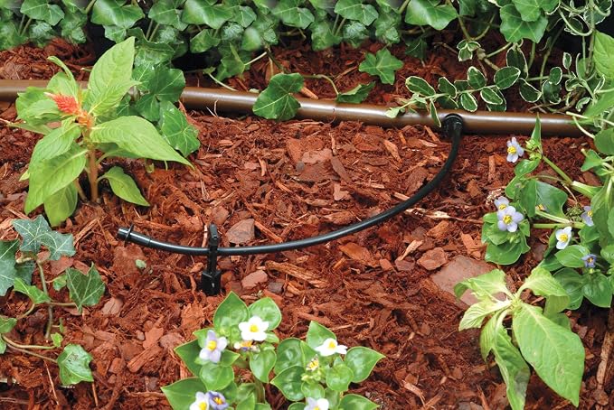 Rain Bird T22-250S Drip Irrigation 1/4" Blank Distribution Tubing, 250' Roll, Black (Pack of 4)