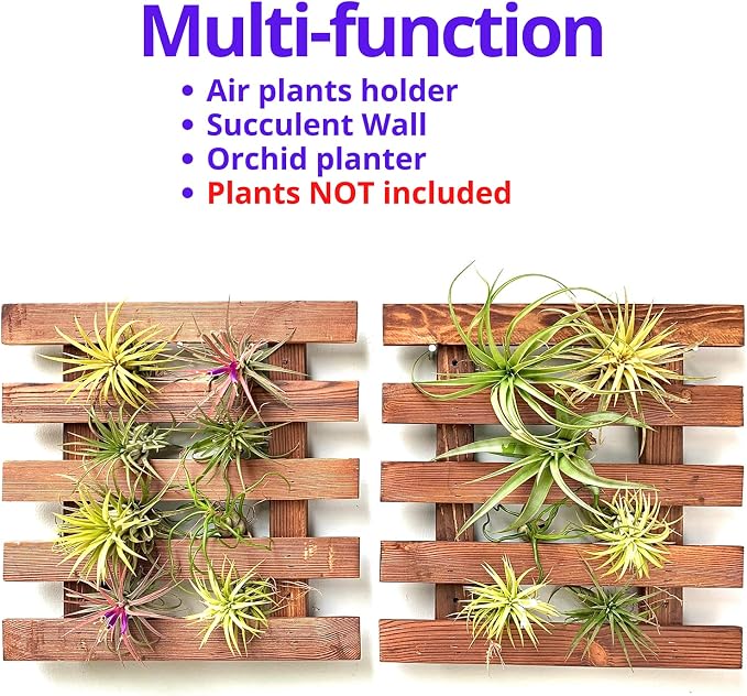 ShopLaLa Wall Planter - 2 Pack Wooden Hanging Succulent Wall Decor, Live Air Plants Orchids Wall Mounted Holder Frame Display for Indoor Outdoor, Living Plant Wall Decor Balcony Garden | Live Air Plants Orchids Wall Mounted Holder Frame Display for Ind...