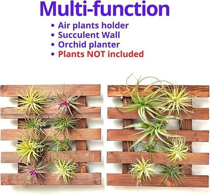 ShopLaLa Wall Planter - 2 Pack Wooden Hanging Succulent Wall Decor, Live Air Plants Orchids Wall Mounted Holder Frame Display for Indoor Outdoor, Living Plant Wall Decor Balcony Garden | Live Air Plants Orchids Wall Mounted Holder Frame Display for Ind...