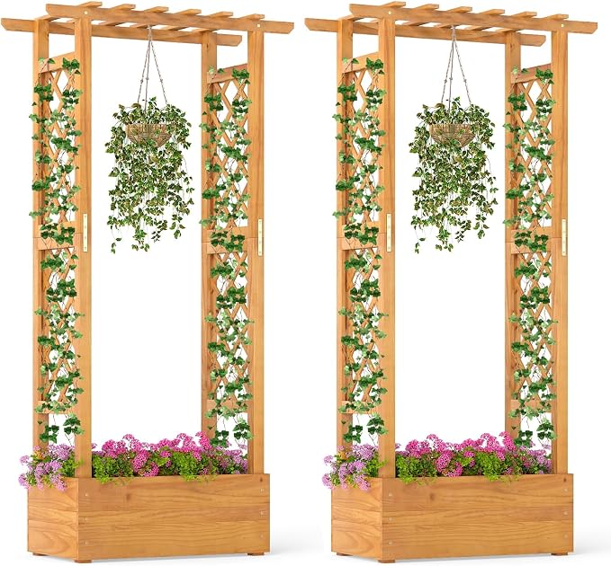 S AFSTAR 2 Pieces Wooden Raised Garden Bed with Trellis, 60" Elevated Planter Box with Hanging Roof & Open-Ended Base for Climbing Vine Flower Herb Vegetable, Outdoor Plant Container for Patio & Yard