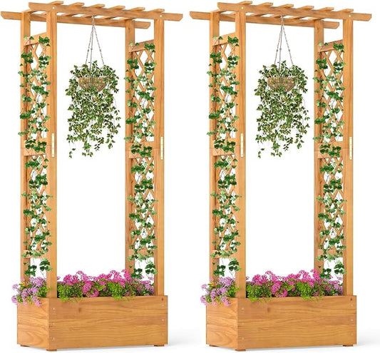S AFSTAR 2 Pieces Wooden Raised Garden Bed with Trellis, 60" Elevated Planter Box with Hanging Roof & Open-Ended Base for Climbing Vine Flower Herb Vegetable, Outdoor Plant Container for Patio & Yard
