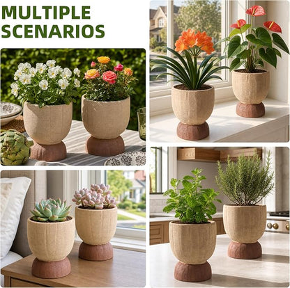 DREAMLOOM 2Pcs Flower Pot with Drainage Holes, 6.4Inch Terracotta & Coarse-Grained Planters for Succulents, Cactus Aloe, Herbs, Orchid, Vintage Color