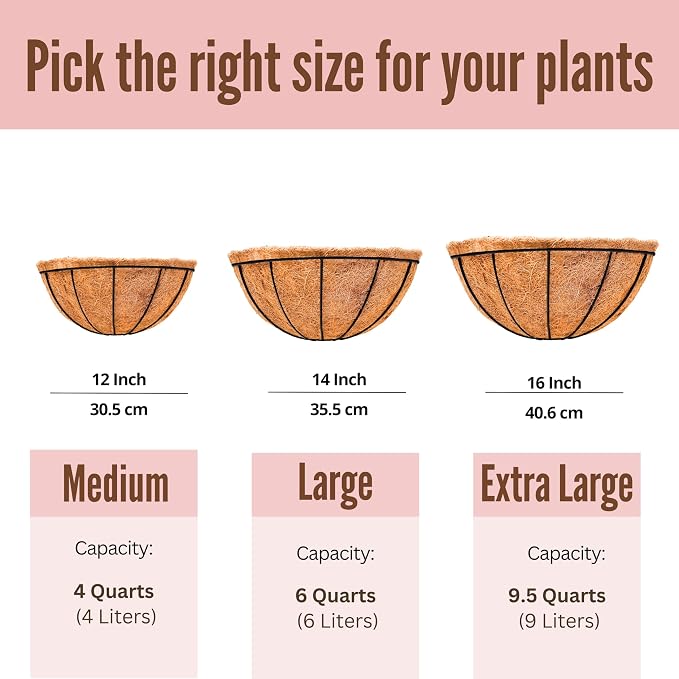 LaLaGreen Wall Hanging Planters for Plants (12 Inch, 6 Pack) Wall Mounted Flower Baskets with Coco Liner, Black Metal Iron Wire Plant Holder for Outdoor Fence Railing Outside Deck Porch Balcony Garden