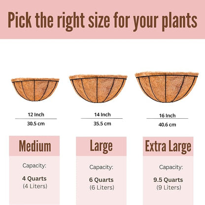 LaLaGreen Wall Hanging Planters for Plants (12 Inch, 6 Pack) Wall Mounted Flower Baskets with Coco Liner, Black Metal Iron Wire Plant Holder for Outdoor Fence Railing Outside Deck Porch Balcony Garden