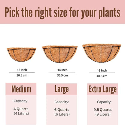LaLaGreen 16 Inch Large Wall Planter, 2 Pack Rail Hanging Pot with Coco Liner, Black Metal Wall Mounted Flower Basket Box Outdoor Outside Fence Railing Plant Holder Deck Porch Patio Balcony Garden