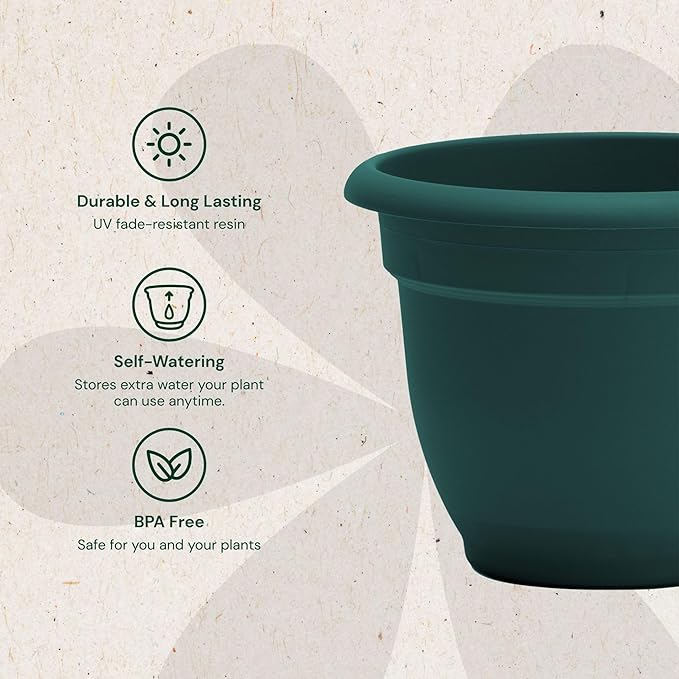 Bloem Ariana 10" Plastic Self-Watering Planter, Charleston Green | Self-watering disk at the bottom of the pot that acts as a water wick and reservoir for optimal plant health.