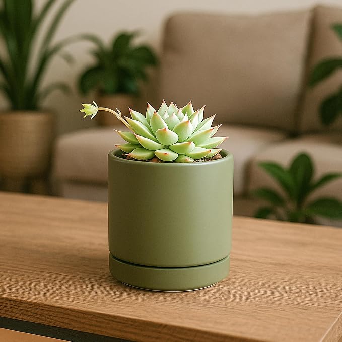 D'vine Dev Set of 2 Plants Pots, 3.5 Inch Ceramic Planter Pot for Plants with Drainage Hole and Saucer, Olive, 94-V-A-J