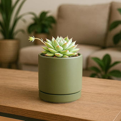 D'vine Dev Set of 4 Small Ceramic Plant Pots, 3.5 Inch Succulent Planter Pot for Plants with Drainage Hole and Saucer, Olive, 94-X-A-0