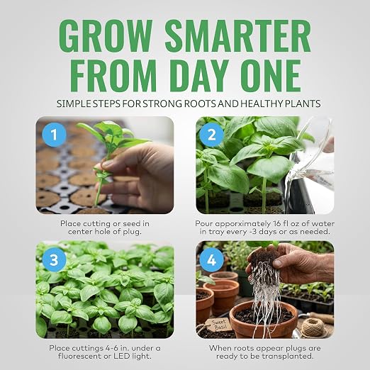 General Hydroponics Rapid Rooter, Starter Plug for Seeds or Cuttings, Great for Soil or Hydroponics Growing System, 100 Plugs