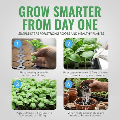 General Hydroponics Rapid Rooter, Starter Plug for Seeds or Cuttings, Great for Soil or Hydroponics Growing System, 100 Plugs