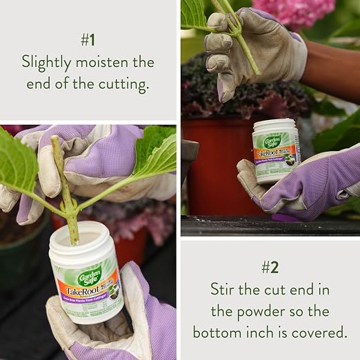 Garden Safe Take Root Rooting Hormone, Promotes Rooting, Grow New Plants from Cuttings, 2 Ounce, 3 Pack