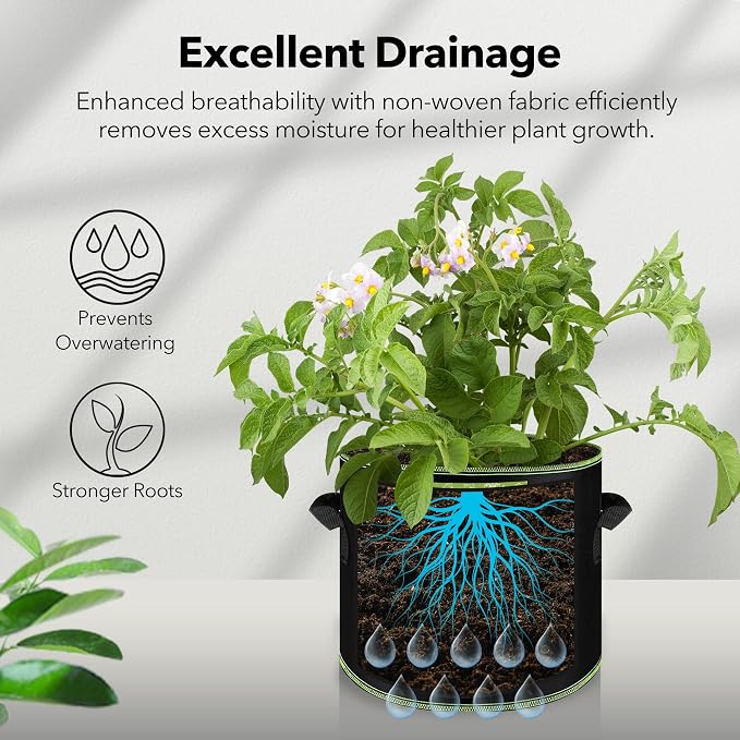 BN-LINK 10-Pack 5 Gallon Grow Bags, Heavy Duty Aeration Fabric Pots with Handles, Thickened Nonwoven Plant Bags for Vegetables, Flowers, Fruits