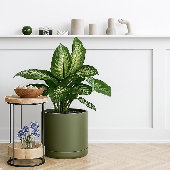 D'vine Dev 12 Inch Ceramic Planter Pot, Olive, 94-O-F-J | Modern Cylinder Design, Drainage Hole & Saucer Included, Stable Structure, Elegant Home Accent