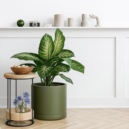 D'vine Dev 12 Inch Ceramic Planter Pot, Olive, 94-O-F-J | Modern Cylinder Design, Drainage Hole & Saucer Included, Stable Structure, Elegant Home Accent