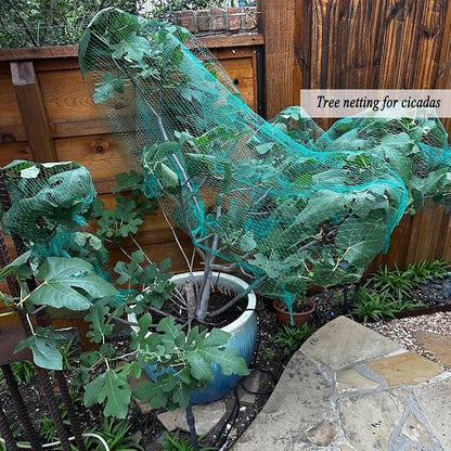 Bird Netting for Garden 6.5X100 FT, 1/4 Inch Mesh, Protect Blueberry, Strawberry, Tomatos, Vegetables. Fruit Tree Netting for Cicadas Against Deers, Squirrels, Bunnies, and Small Critters.
