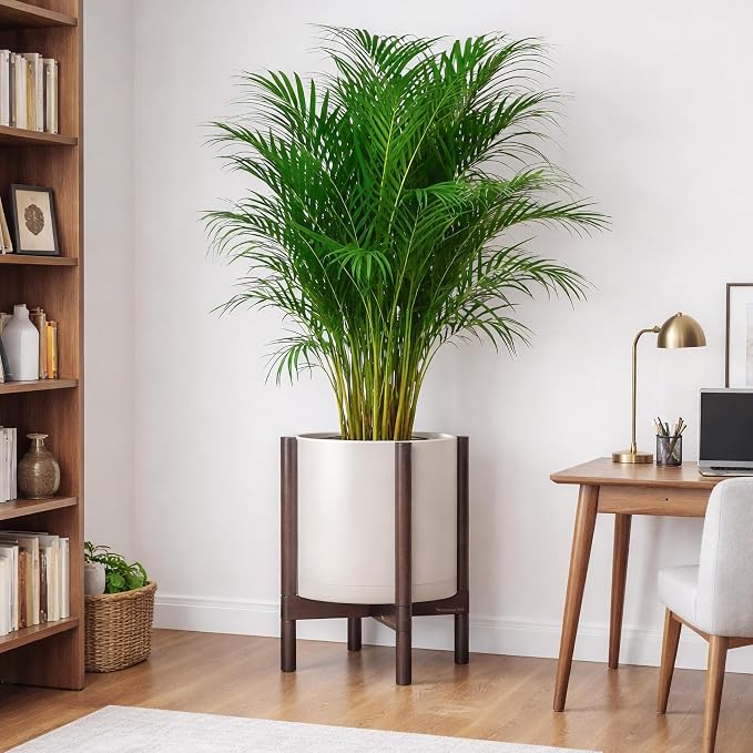 D'vine Dev Plastic Pot with Walnut Wood Stand, Oatmeal, 12 in, 55-C-O-4 | Mid-Century Inspired Design, Elevated Plant Display, Clean Lines, Sturdy Support, Modern Space-Saving Style