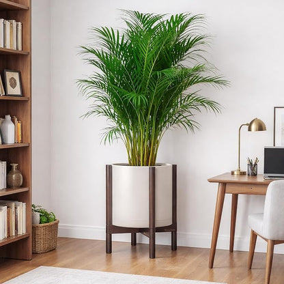 D'vine Dev Plastic Pot with Walnut Wood Stand, Oatmeal, 12 in, 55-C-O-4 | Mid-Century Inspired Design, Elevated Plant Display, Clean Lines, Sturdy Support, Modern Space-Saving Style