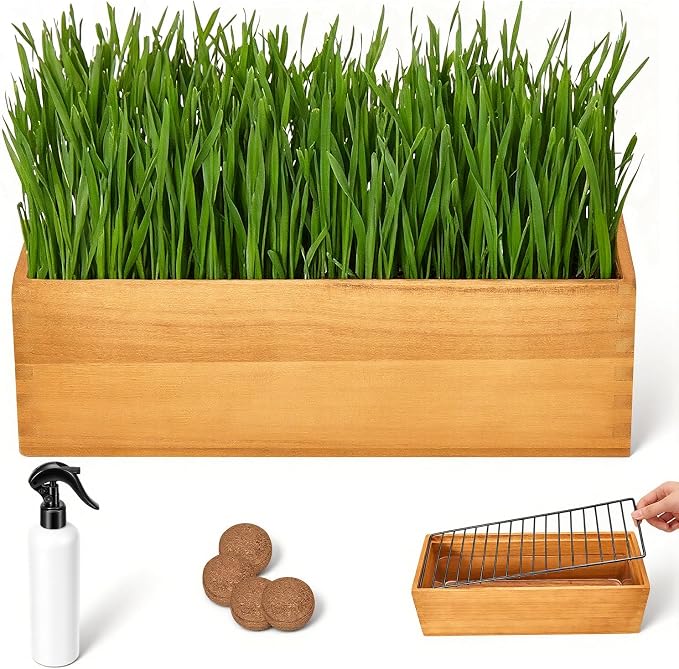 Wooden Cat Grass Planter (no Seeds Included) Anti Digging Design，with Anti-Digging Grid, Potting Soil Disks,Watering Bottle and Removable Plastic Liner,Cat Grass Kit for Indoor Cats Rabbits Pets