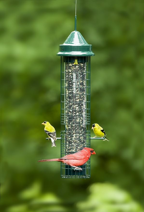 Squirrel Buster Classic Squirrel-proof Bird Feeder w/4 Feeding Ports, 2.4-pound Seed Capacity | Weight-Activated Shroud Blocks Squirrels, 4 Feeding Ports, 2.4 Lb Seed Capacity, 32 Height, Tool-Free Disassembly