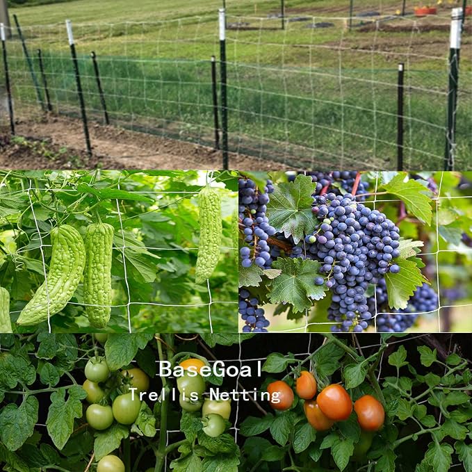 BaseGoal All-Weather Trellis Netting Mesh Plant Garden Vine Growing Flexible String Net (6" Mesh ployester, 5' Wx 30'L)