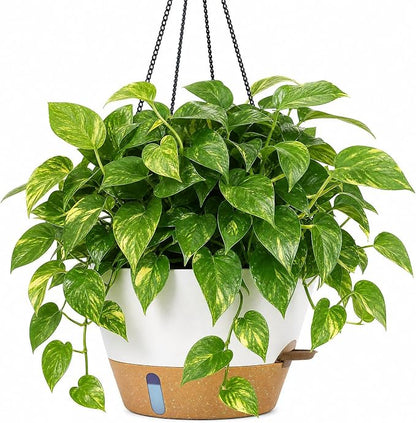 ZMTECH 12 Inch Hanging Planters for Indoor Plants, Modern White Self Watering Hanging Planter with Visible Water Level Window & Chain, Large Flower Pots for Outdoor Patio Decor