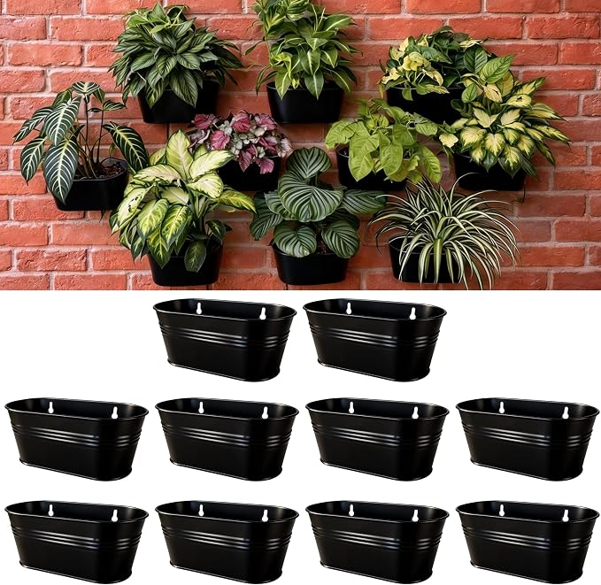 LaLaGreen Wall Planter (9.8 Inch, 10 Pack) Black Oval Metal Hanging Decor Plant Holder Wall Planters for Indoor Plants Balcony Decoration Porch Plants Pots Mounted Indoor Window Planters Pot Baskets