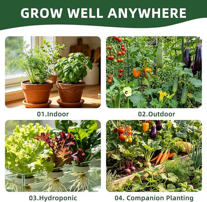 40 Vegetable & Herb Seeds Vault Kit with Sweet Basil, Cherry Tomato, Romaine Lettuce, 20,000+ Garden Seeds for Indoor Outdoor Planting