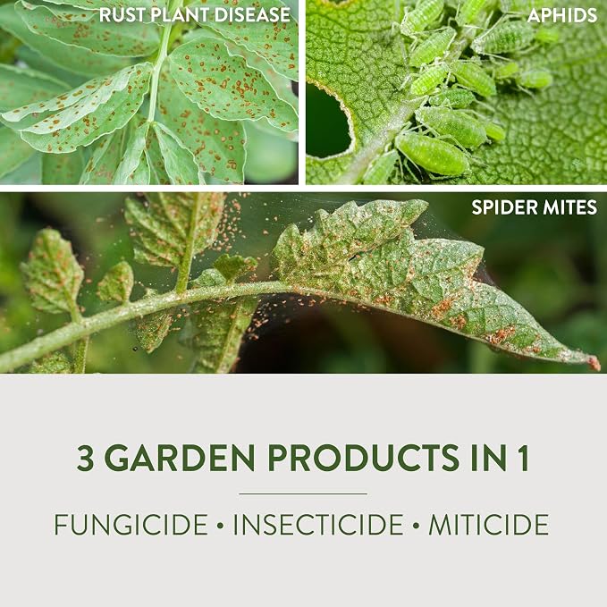 Garden Safe Neem Oil, 10 Fl Oz, Case Pack of 6