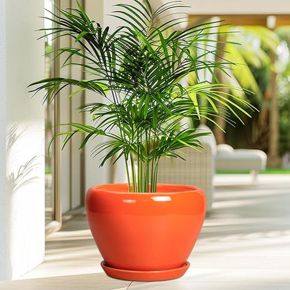 Ceramicfor Ceramic Pot for Plants - 10 Inch Plant Pot with Drainage Hole and Saucer, Modern Round Glaze Planter for Indoor Outdoor Plants, Plant Lover Gifts, Home Garden Office Decor, Orange