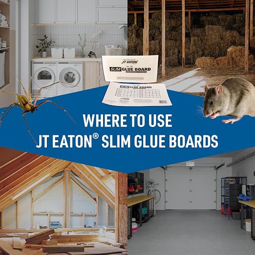 JT Eaton Slim Glue Board – Low-Profile Adhesive Mouse Trap for Effective Rodent Control, Non-Toxic, Easy Cleanup, Indoor Use | Slim Low-Profile Design Fits under Appliances and along Walls; Non-Toxic Adhesive; Easy Cleanup Indoors