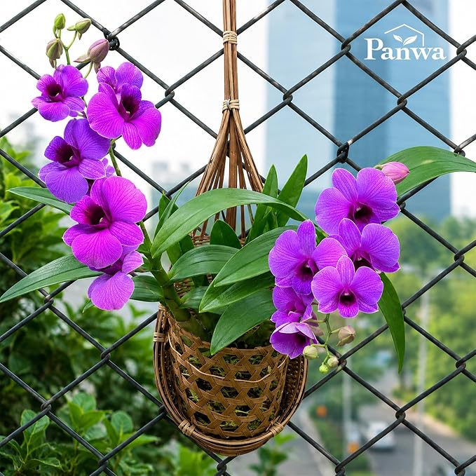 Handmade 100% Thai Bamboo Hanging Orchid Basket – 4 Inch Set of 6