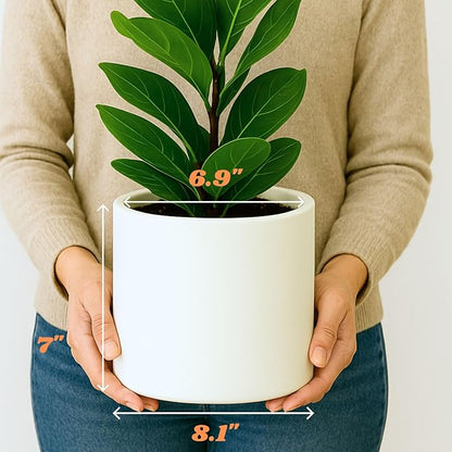 Fox & Fern Large Indoor Planter, Modern Large Plant Pot for Indoor or Outdoor, UV and Frost Resistant - 8 Inch, Matte White Flower Pot with Drainage Plug, Lightweight